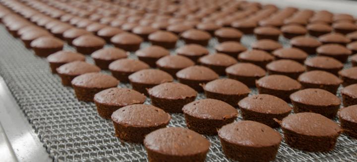 brownies on manufacturing conveyor